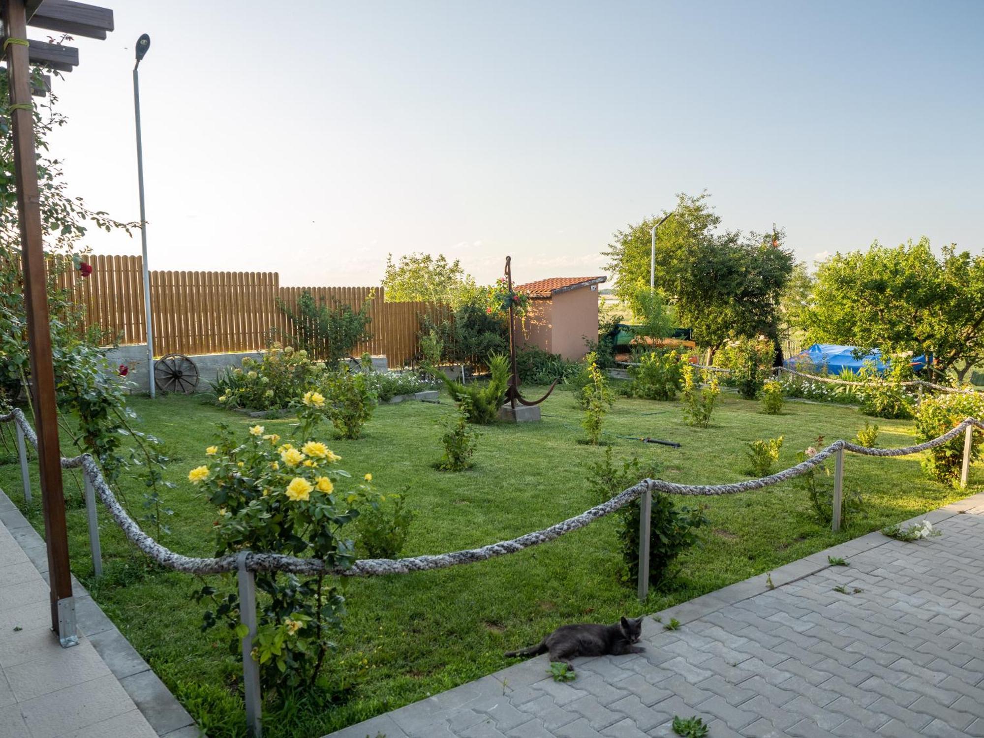 Laguna Nuferilor Habitat Somova Exterior foto